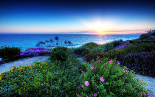 659441 (a): :2560x1600